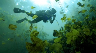 Cenotes du Yucatan 